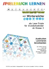 Lese-Trizzle Winter- Weihnachtswoerter.pdf